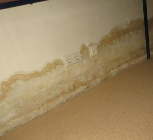 image-schimmel-01-522x480-72