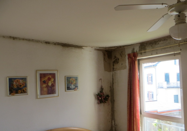 image-schimmel-02-640x450-27